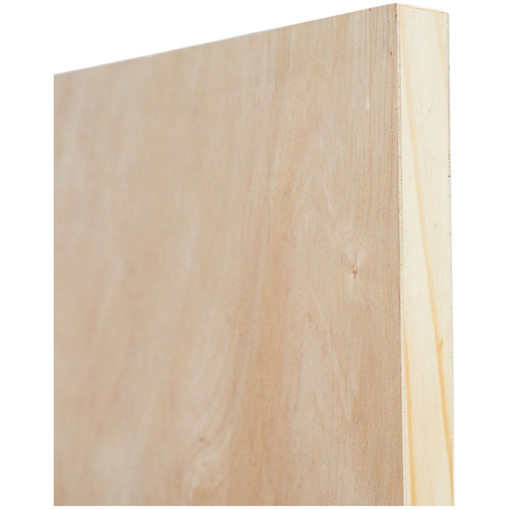 Puerta Placa Terciado / 4,5 x 60 x 200 cms. - Imagen 4